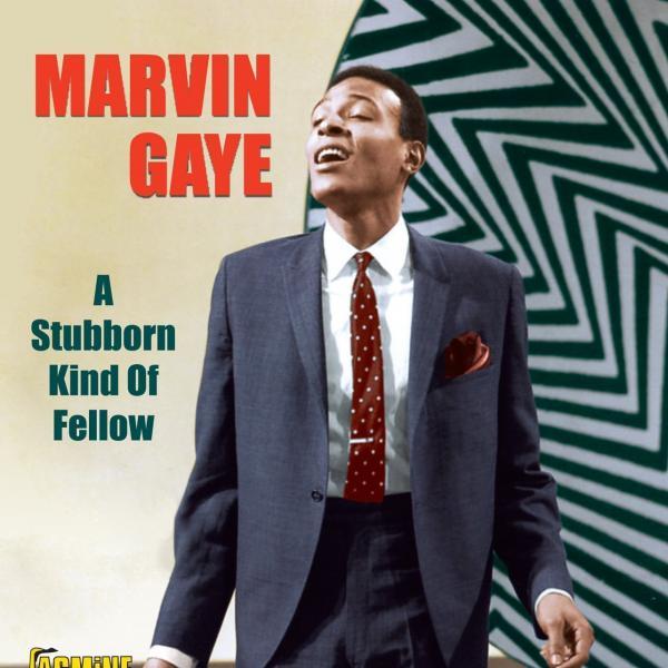 Marvin Gaye - A Stubborn Kind of Fellow