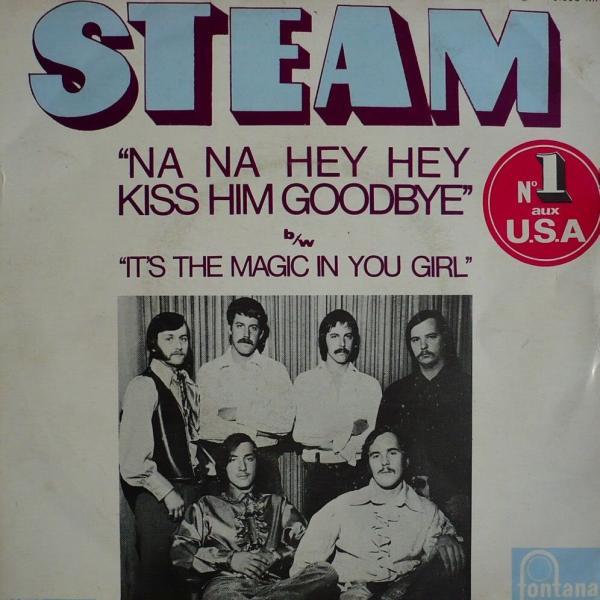 Na Na Na Na Hey Hey (Goodbye) – Steam